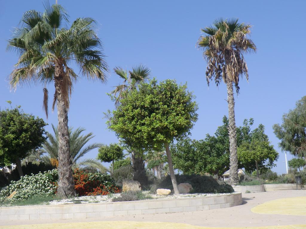 Casa En La Costa Villa Torrevieja Dış mekan fotoğraf