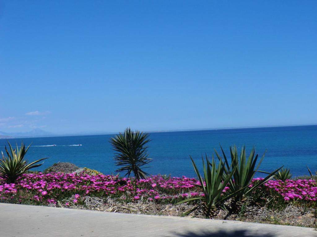 Casa En La Costa Villa Torrevieja Oda fotoğraf